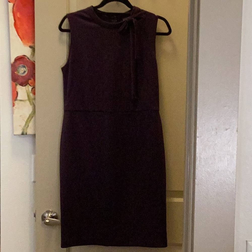 The Limited plum dress with tie - size 8